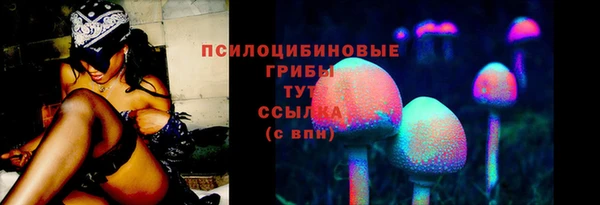 соль ск Зерноград