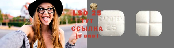 соль ск Зерноград