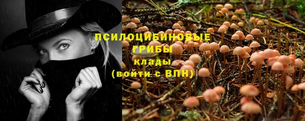 соль ск Зерноград