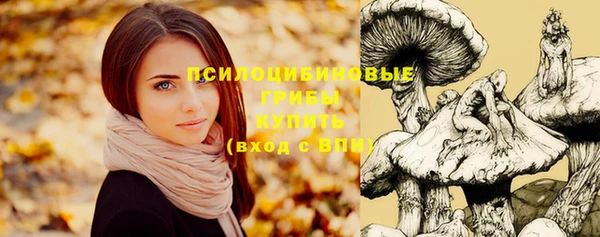 соль ск Зерноград