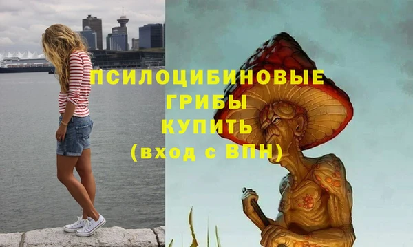 соль ск Зерноград