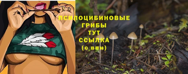 стаф Зеленодольск
