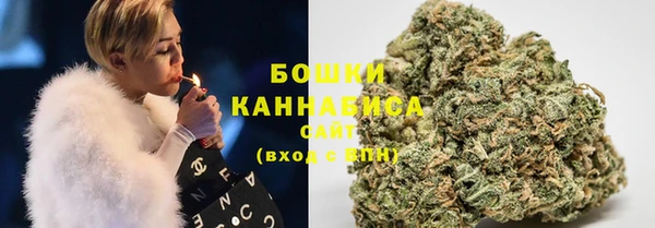 стаф Зеленодольск